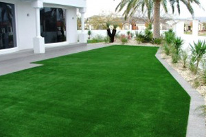 artificial lawn