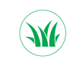 synthetic turf