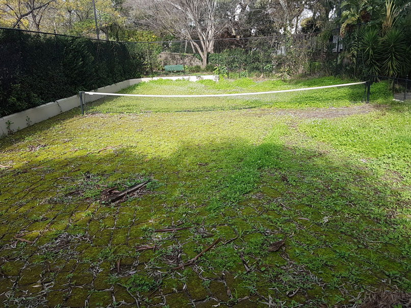 synthetic turf