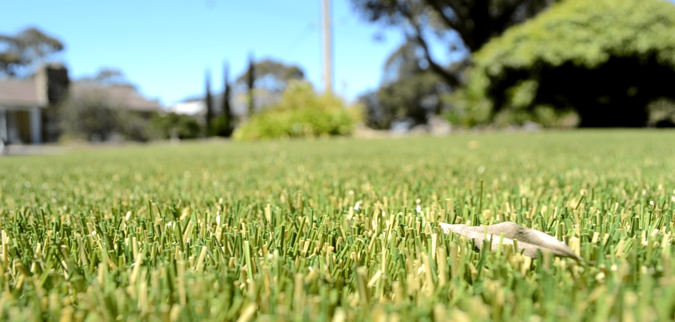 artificial lawn