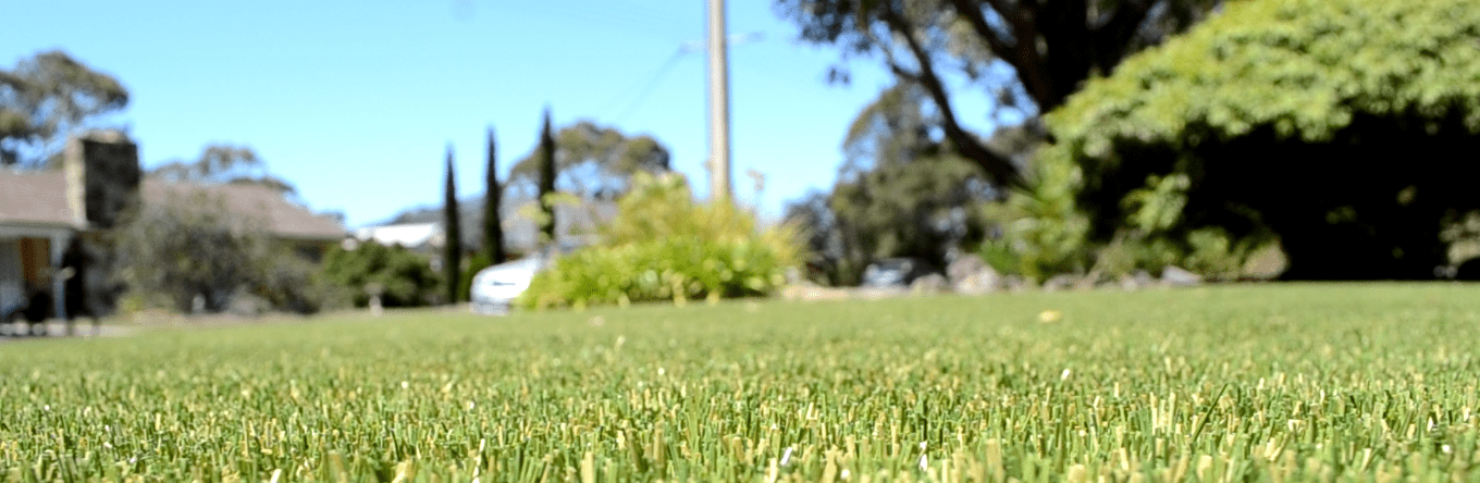 artificial lawn